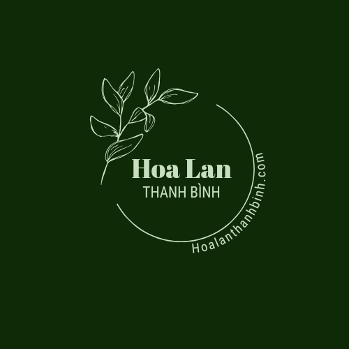 Hoa Lan Thanh Bình